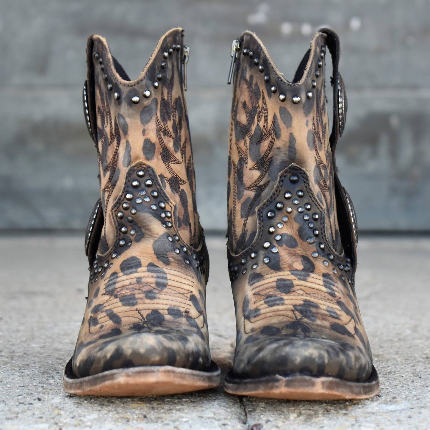 Liberty Black - Women's Buckled In Leopard Leather Bootie