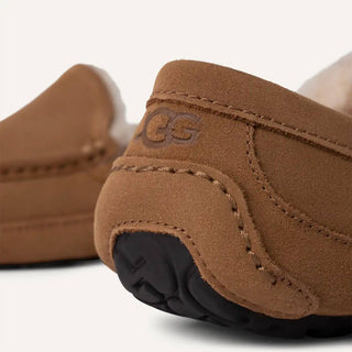 Ugg - Men Ascot Slipper