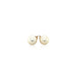 14k Yellow Gold Freshwater Cultured White Pearl Stud Earrings (6.0 mm)