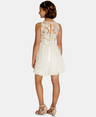 Rare Editions Big Girls Sequin Embroidered Dress Pink Size 12"