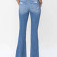 Flying Monkey - High Rise Panel Flare Jeans