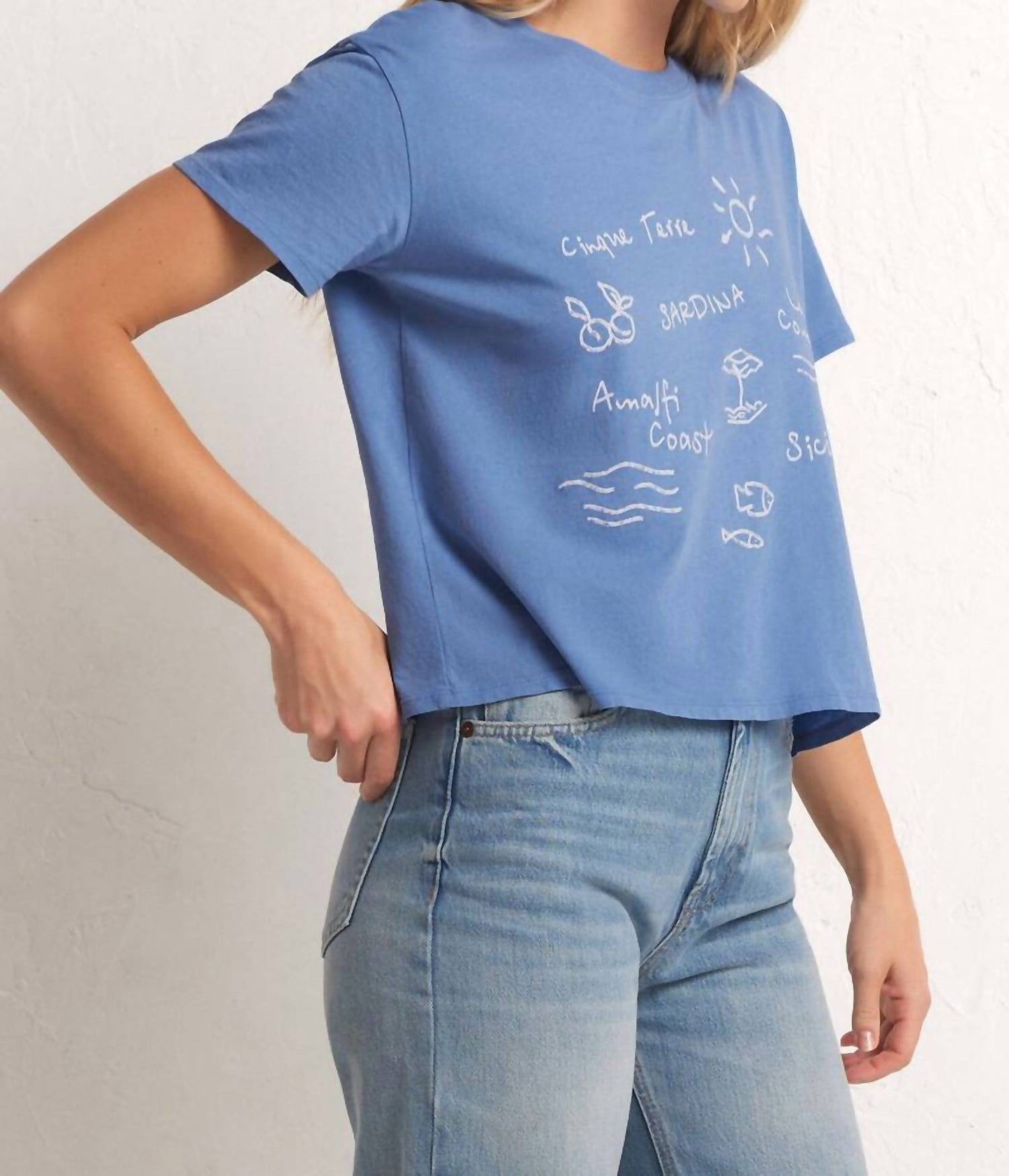 Z Supply - Go To Destination Tee