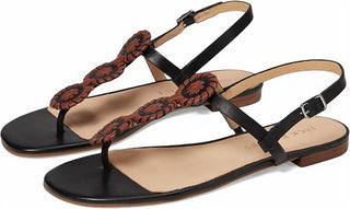 Jack Rogers - Women's Walsh Sandal