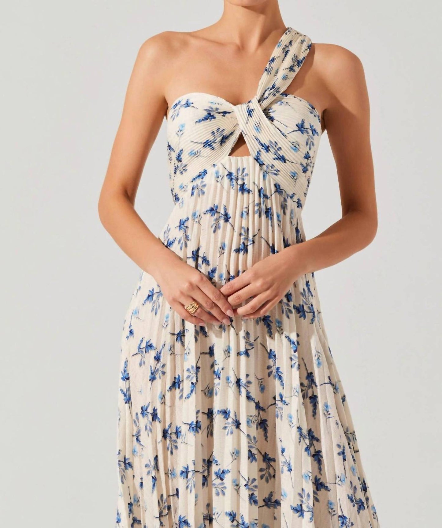 Astr - Rasya Pleated Floral Maxi Dress