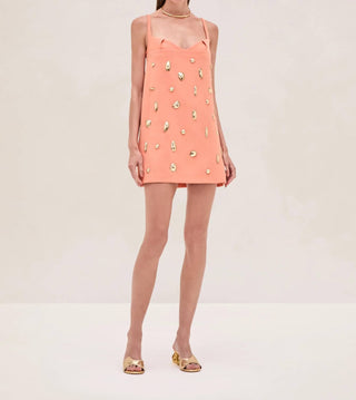 Alexis - Larsen Dress