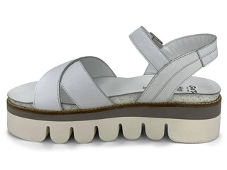 Ara - Women's Forest Hills Sandal