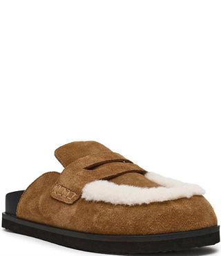 Steve Madden - Women's Tomlin Slide