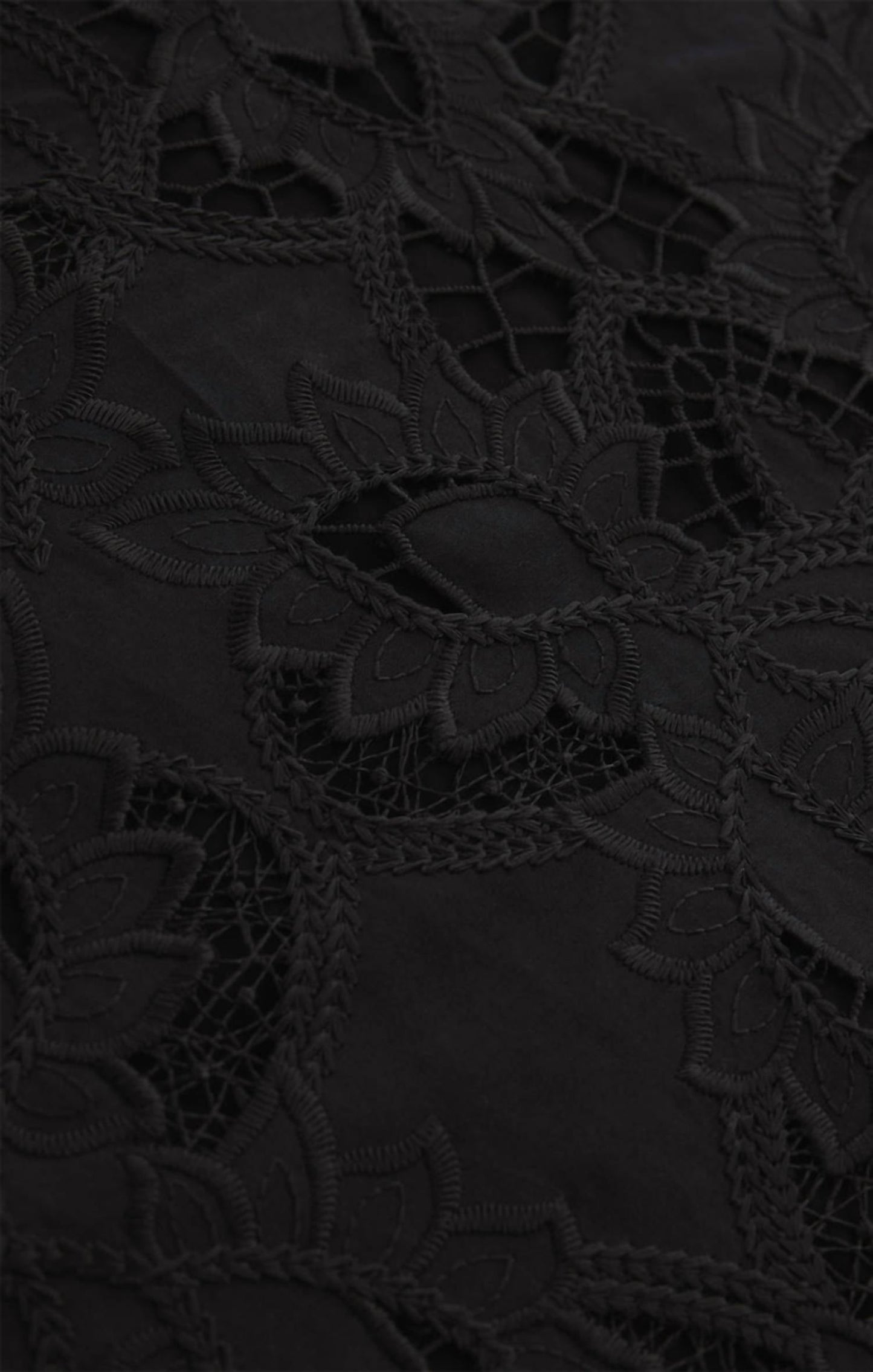 Z Supply - Siren Lace Siren Embroidered Mini Skirt