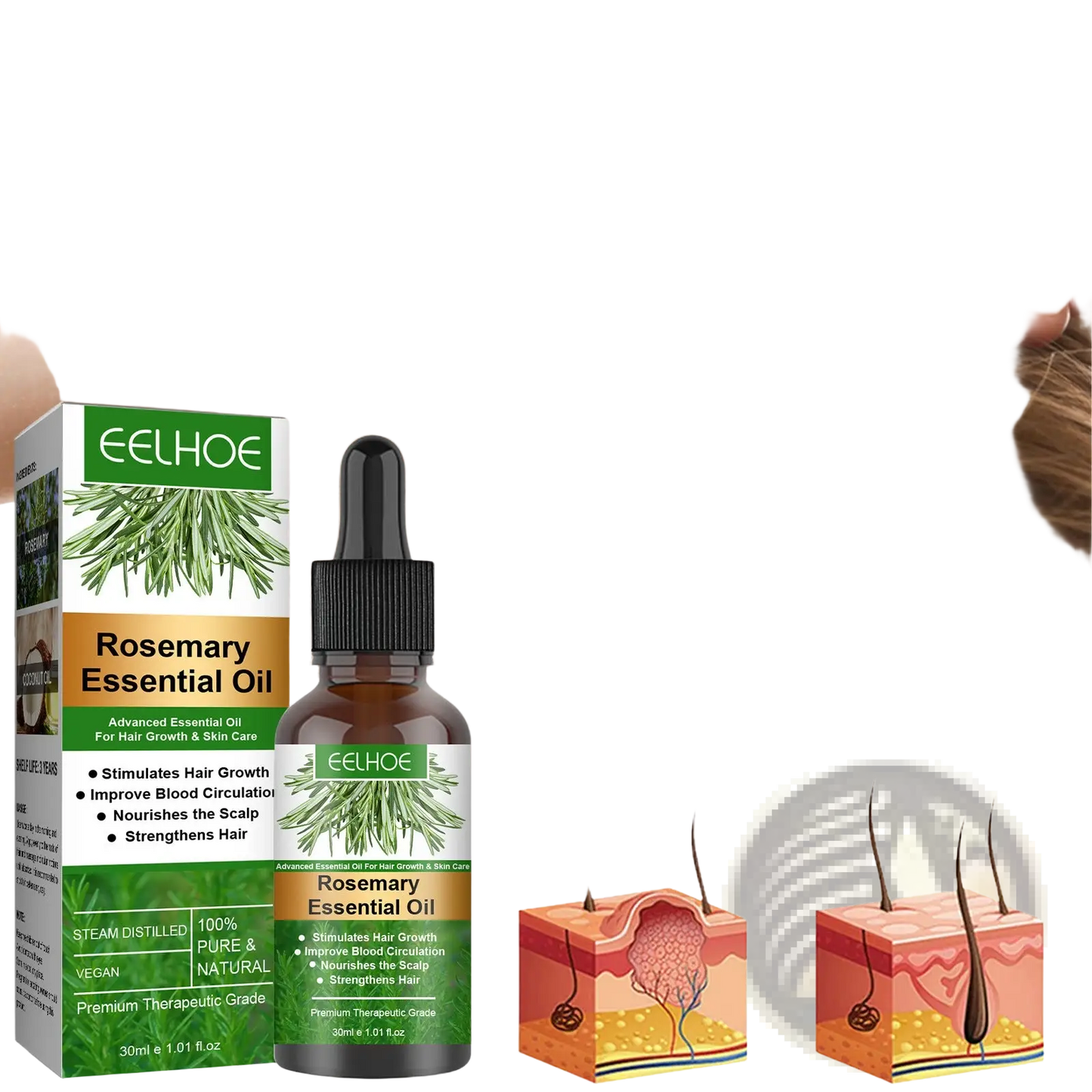 Eelhoe Rosemary Hair Growth Oil and Dermaroller Set