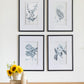 Verdura Botanica: Four-Print Houseplant Pencil Art Set