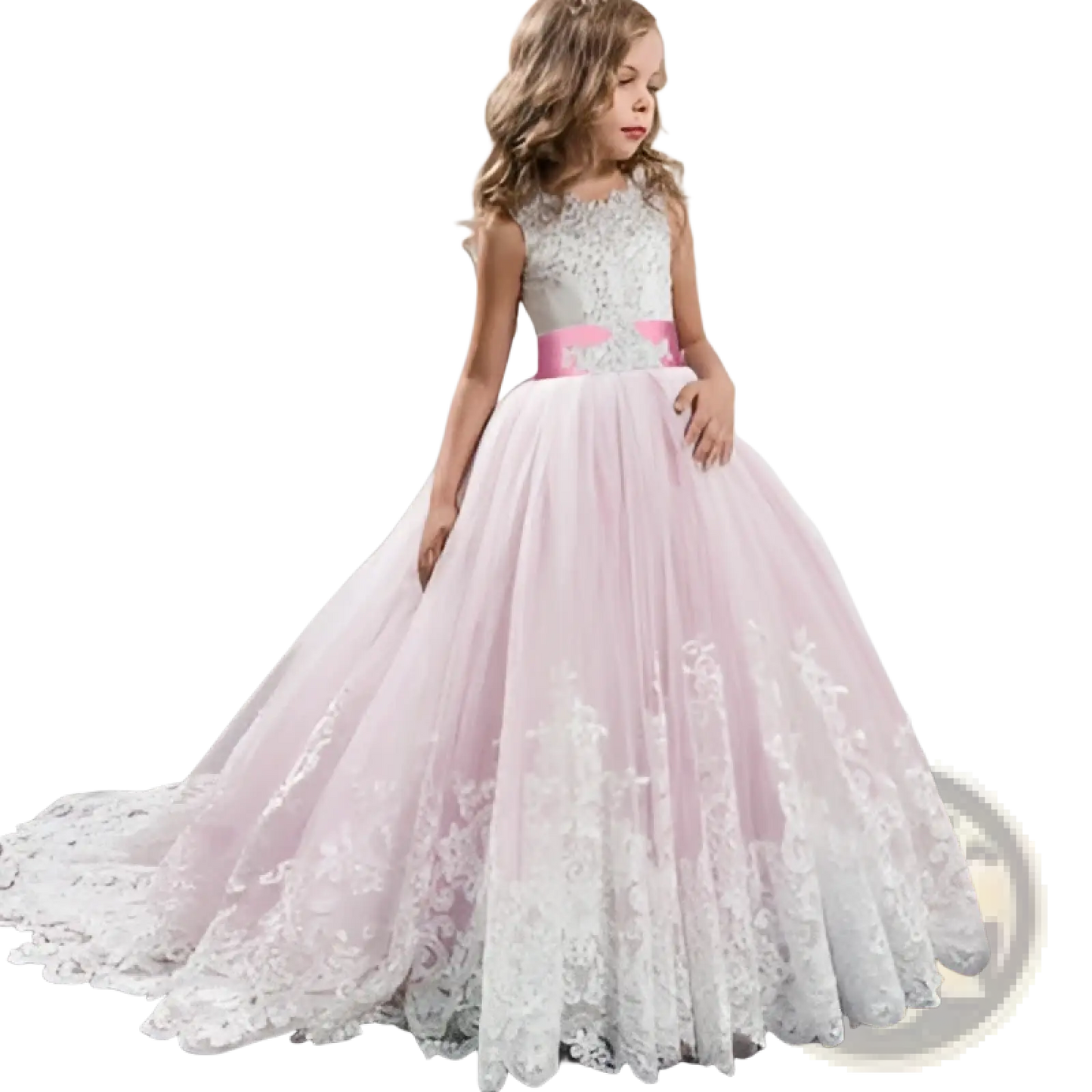 Embellished Lace Tulle Flower Girl Princess Gown
