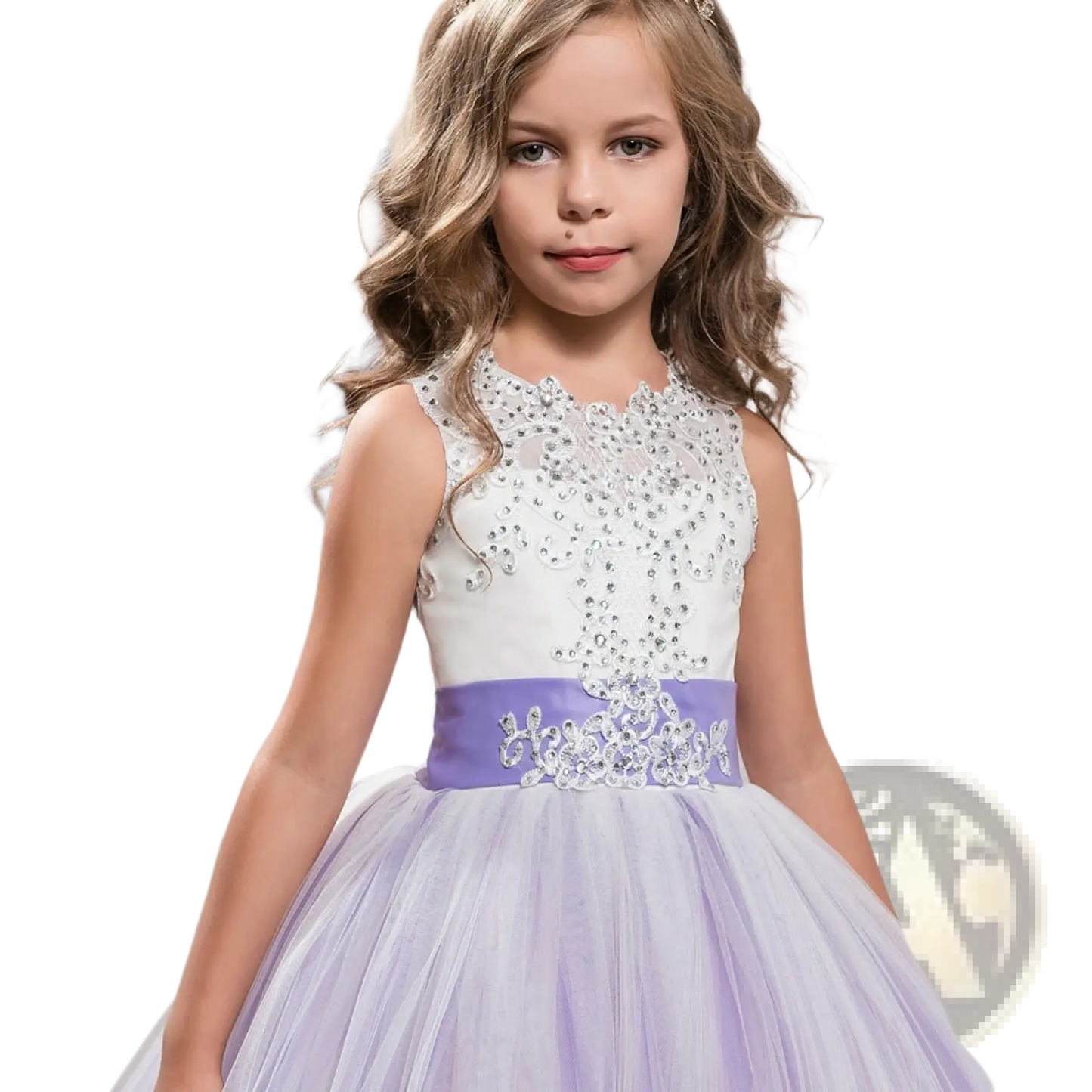 Embellished Lace Tulle Flower Girl Princess Gown