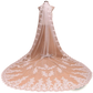 Embroidered Floral Lace Cathedral Wedding Veil with Comb