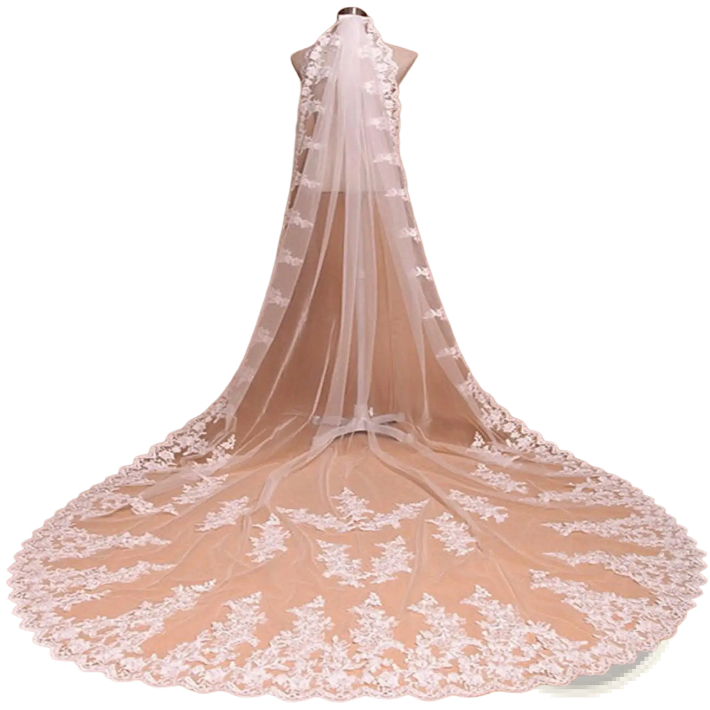 Embroidered Floral Lace Cathedral Wedding Veil with Comb