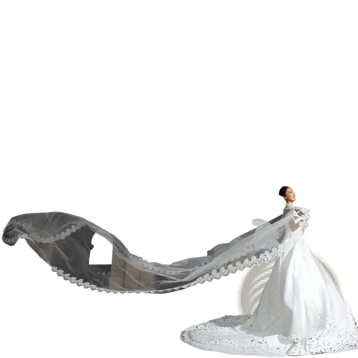 Embroidered Floral Lace Cathedral Wedding Veil