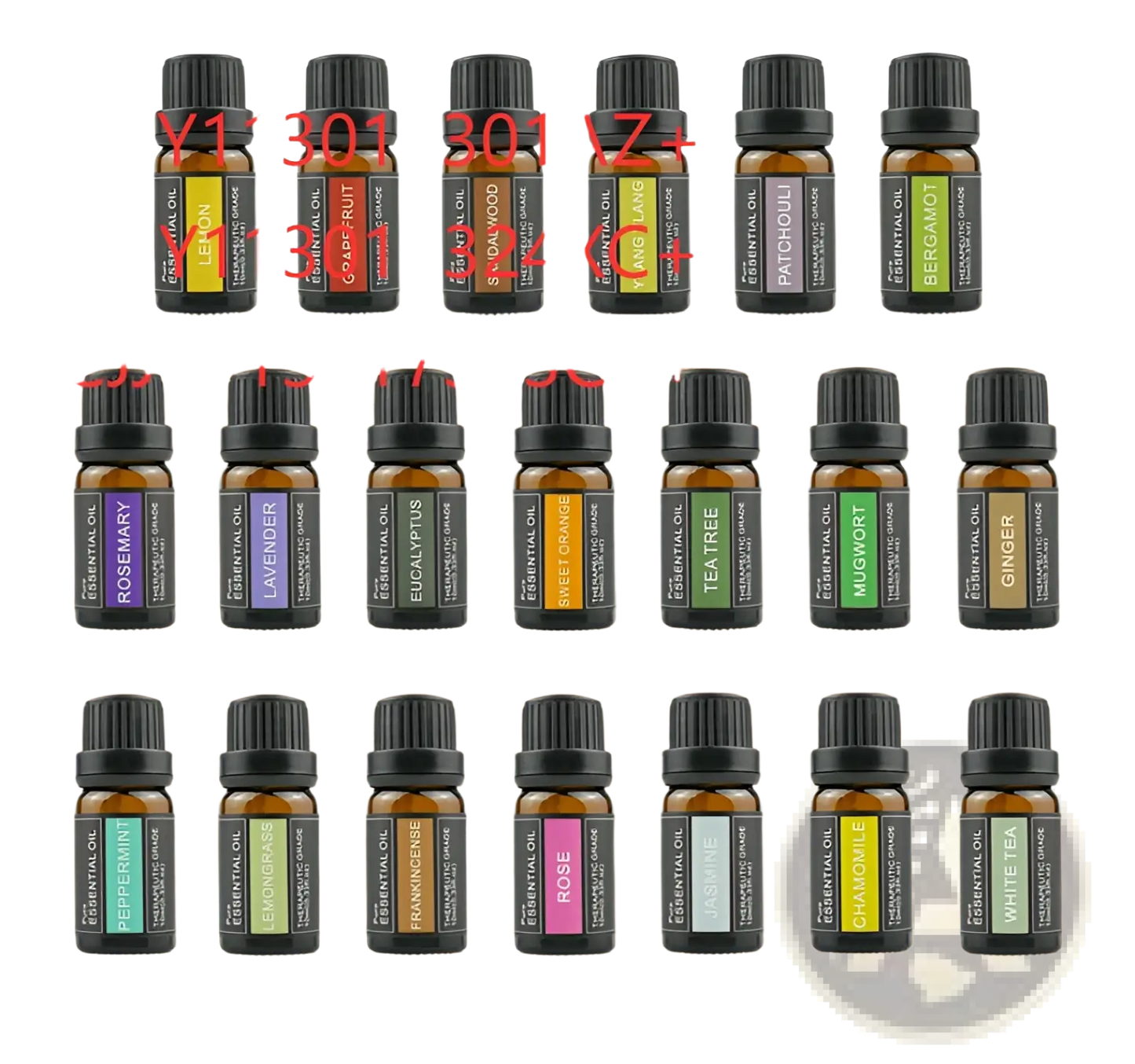 Essential Oil Aromatherapy Set 10ml Fragrance Box