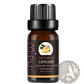 Essential Oil Set 10ml Pure Aromatherapy Bottles