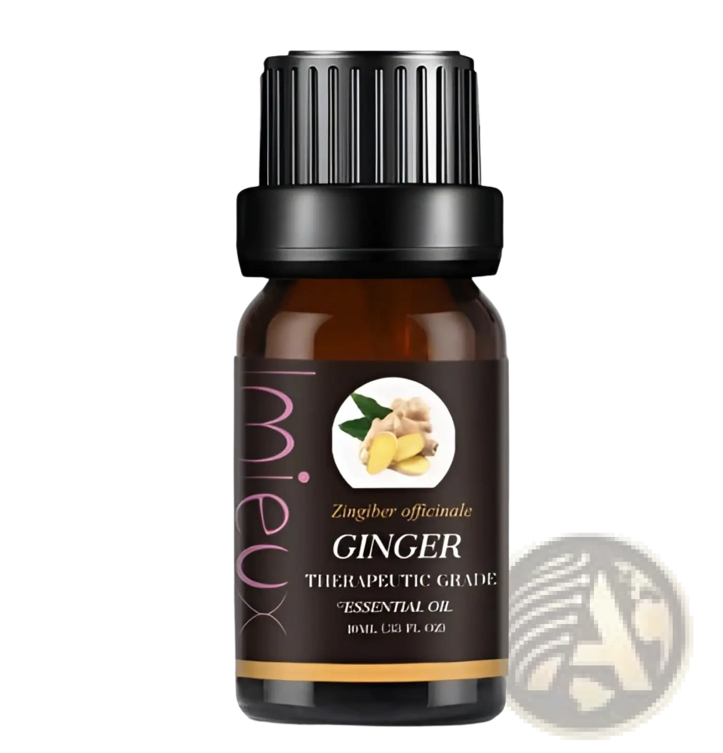 Essential Oil Set 10ml Pure Aromatherapy Bottles