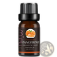 Essential Oil Set 10ml Pure Aromatherapy Bottles