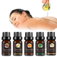 Essential Oil Set 10ml Pure Aromatherapy Bottles