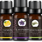 Essential Oil Set 10ml Pure Aromatherapy Bottles