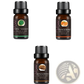 Essential Oil Set 10ml Pure Aromatherapy Bottles