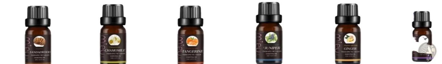 Essential Oil Set 10ml Pure Aromatherapy Bottles