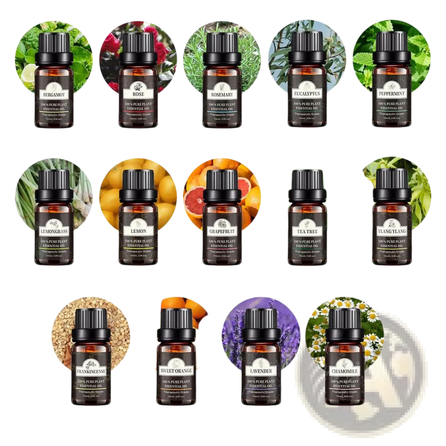 Essential Oil Set 10ml Pure Plant Aromatherapy 6 Pack