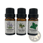 Essential Oil Set Lavender Tea Tree Peppermint 3 Pack
