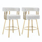 Decorative Upholstered Side Chair For Living Room (Set of 2)