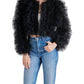 Steve Madden - Odile Ruffled Tulle Jacket