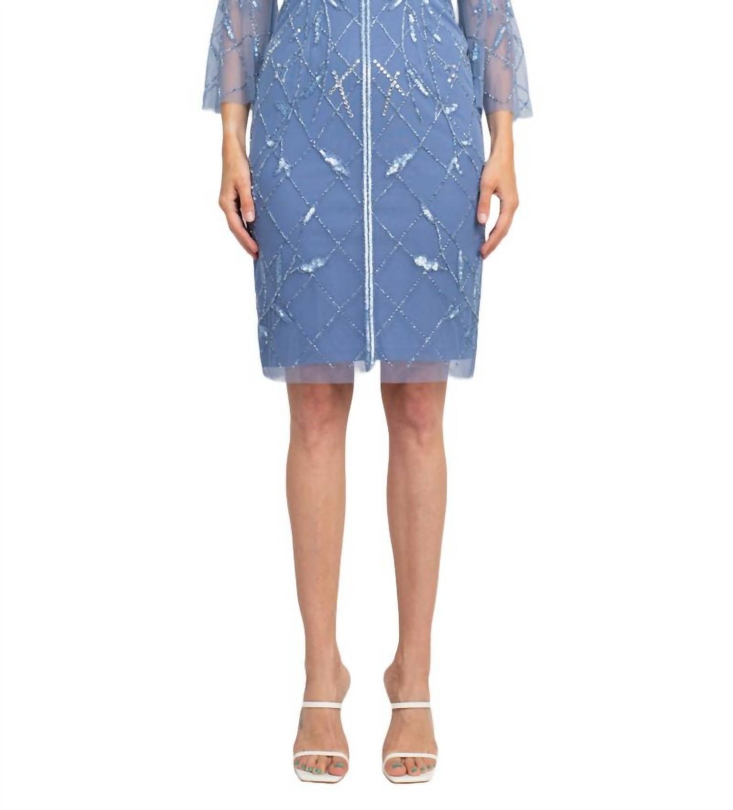 Adrianna Papell - Boat Neck Mesh Dress