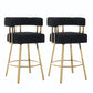 Decorative Upholstered Side Chair For Living Room (Set of 2)