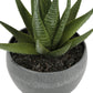 6" Tall Artificial Succulent Plant Set of 3