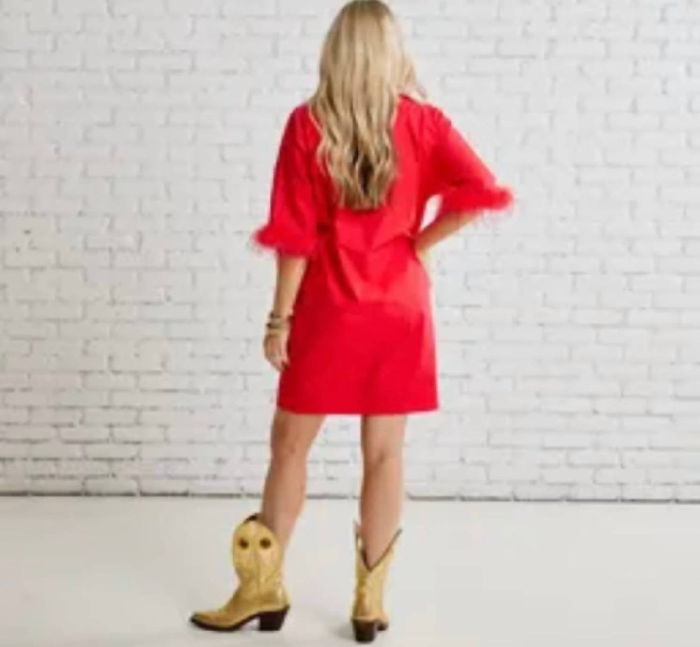 Caryn Lawn - Heather Feather Mini Dress