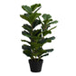 32" Tall Artificial Fiddle Tree Indoor Faux Plant
