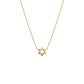 Adina Eden - Mini Solid Star Of David Necklace