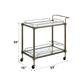 Aditya Mirrored & Antique Brass Finish Serving Cart