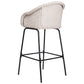 Ladd Outdoor Metal Wicker Barstool Set of 2 - Light Gray