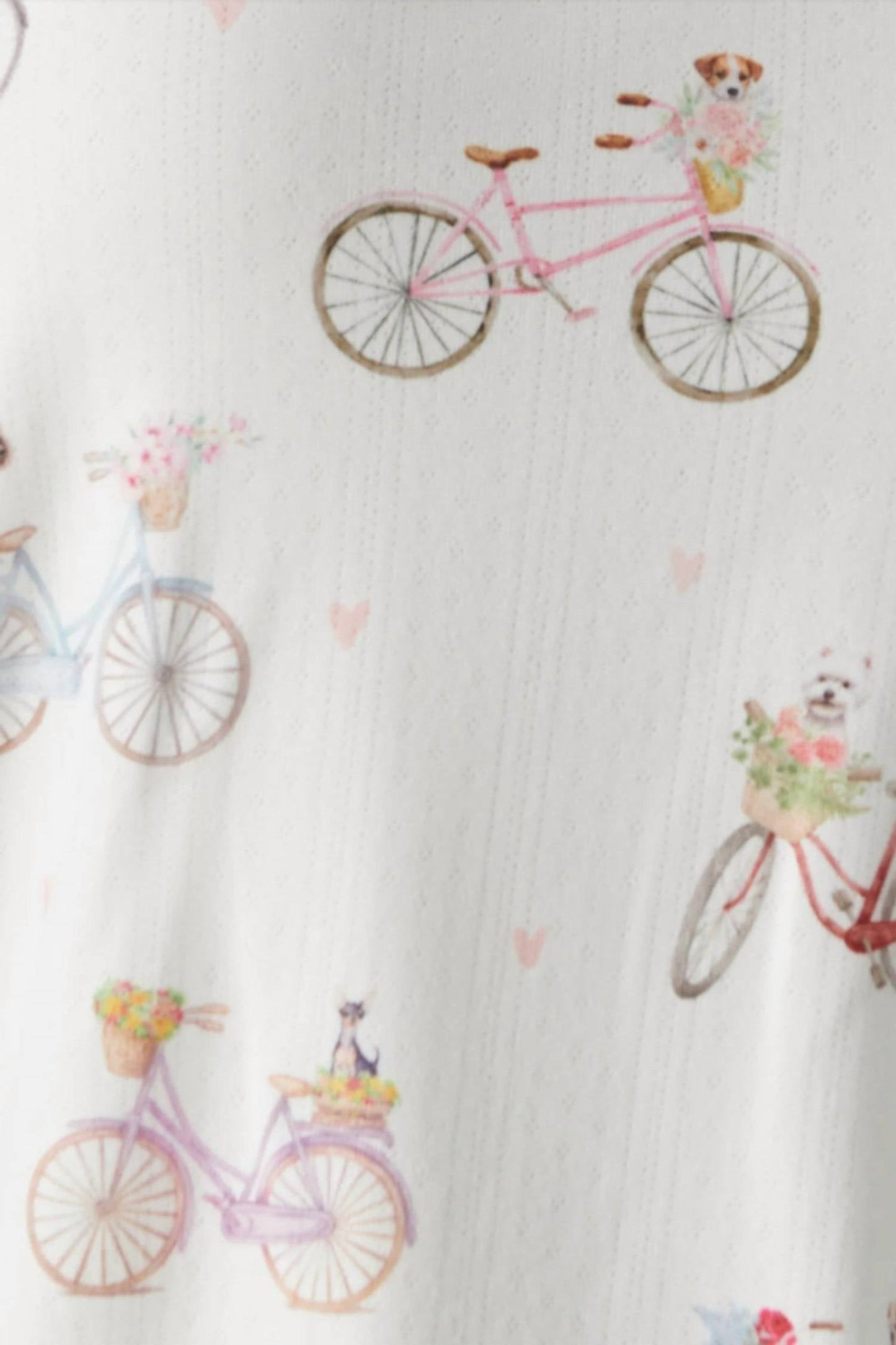 Pj Salvage - Floral Market Lounge Pants
