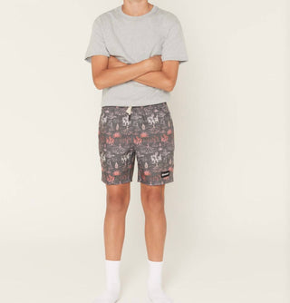 Hooey - Boy's Stripe Volley Boardshorts