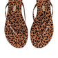 Tkees - Women’s Studio Exotic Slippers