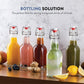 Swing Top Glass Bottles with Airtight Lids- 16 Oz 6 Pack