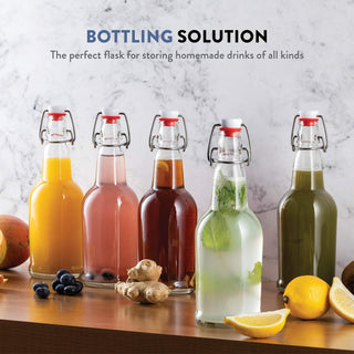 Swing Top Glass Bottles with Airtight Lids- 16 Oz 6 Pack