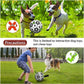 Interactive Halloween Dog Soccer Ball with Grab Tabs