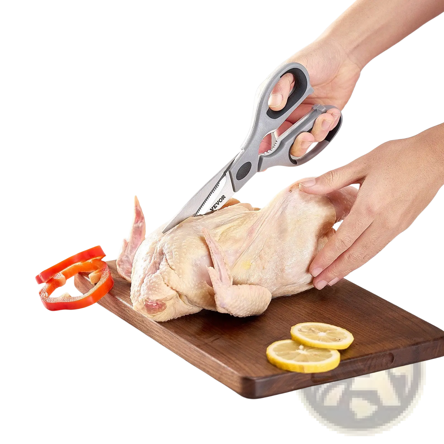 Kitchen Scissors Stainless Steel Shears with Sheath