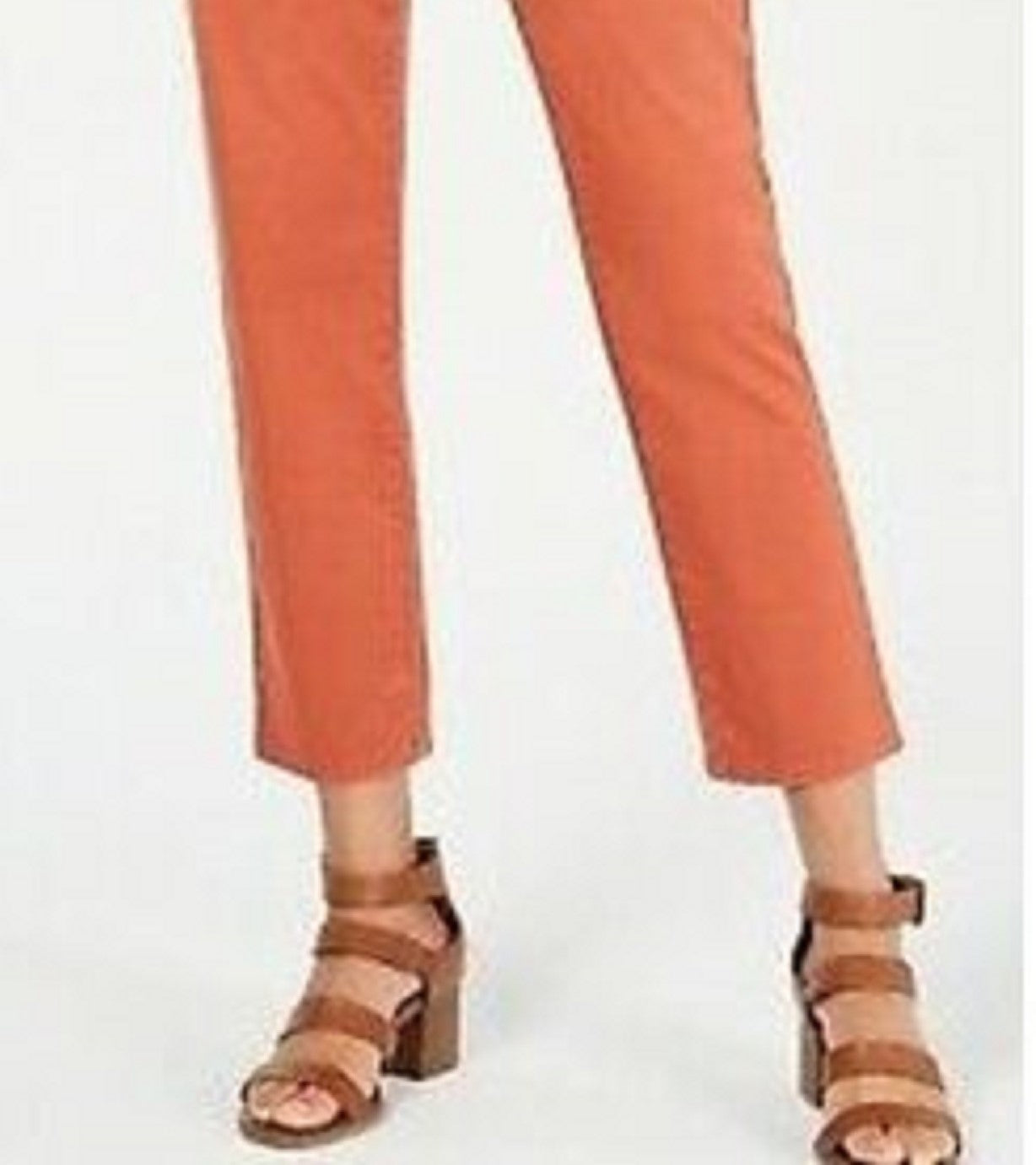 Style & Co Women's Chino Pants Dark orange Size 16