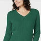 Karen Scott Women's Cotton V-Neck Sweater Green Size X-Small