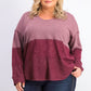 Style & Co Women's Colorblocked Hoodie Red Size Extra Small