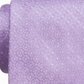 Ryan Seacrest Distinction Men's Neck Tie Purple One Size
